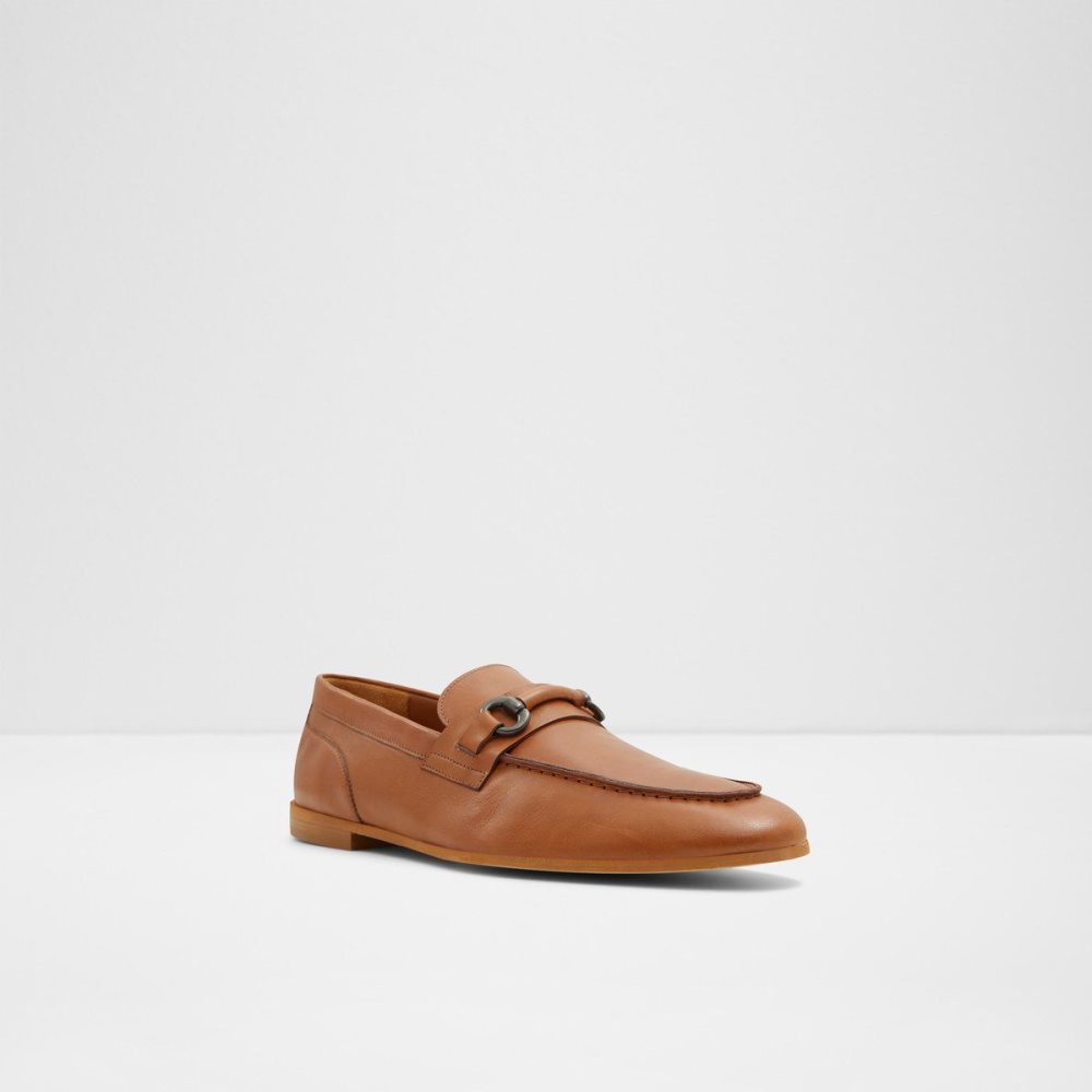 Pánské Mokasíny Aldo Violettes Loafer Hnědé | 31685EAZT