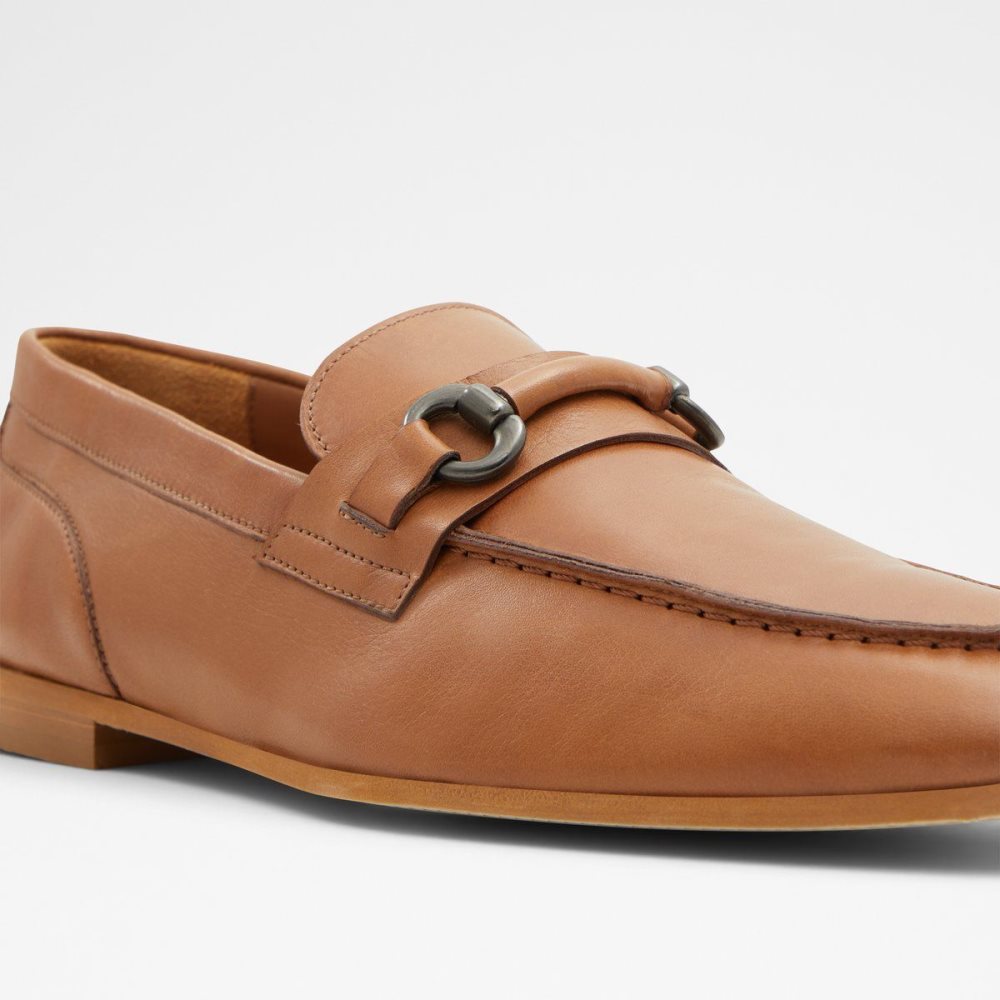 Pánské Mokasíny Aldo Violettes Loafer Hnědé | 31685EAZT