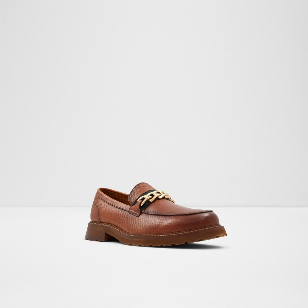 Pánské Mokasíny Aldo Weaver Loafer Hnědé | 12506RQXZ