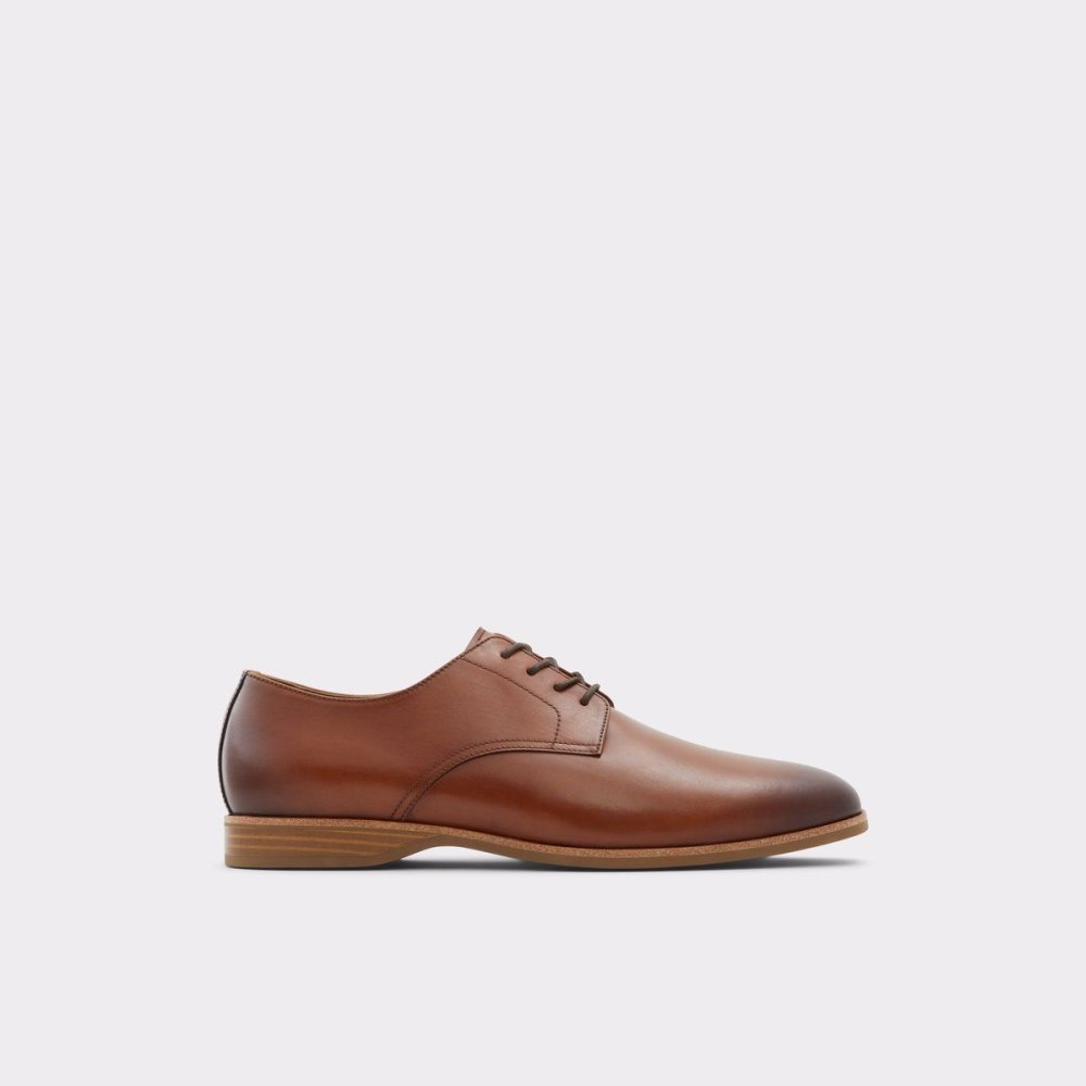 Pánské Oxfordky Aldo Tolkien Oxford shoe Hnědé | 29038OPMU