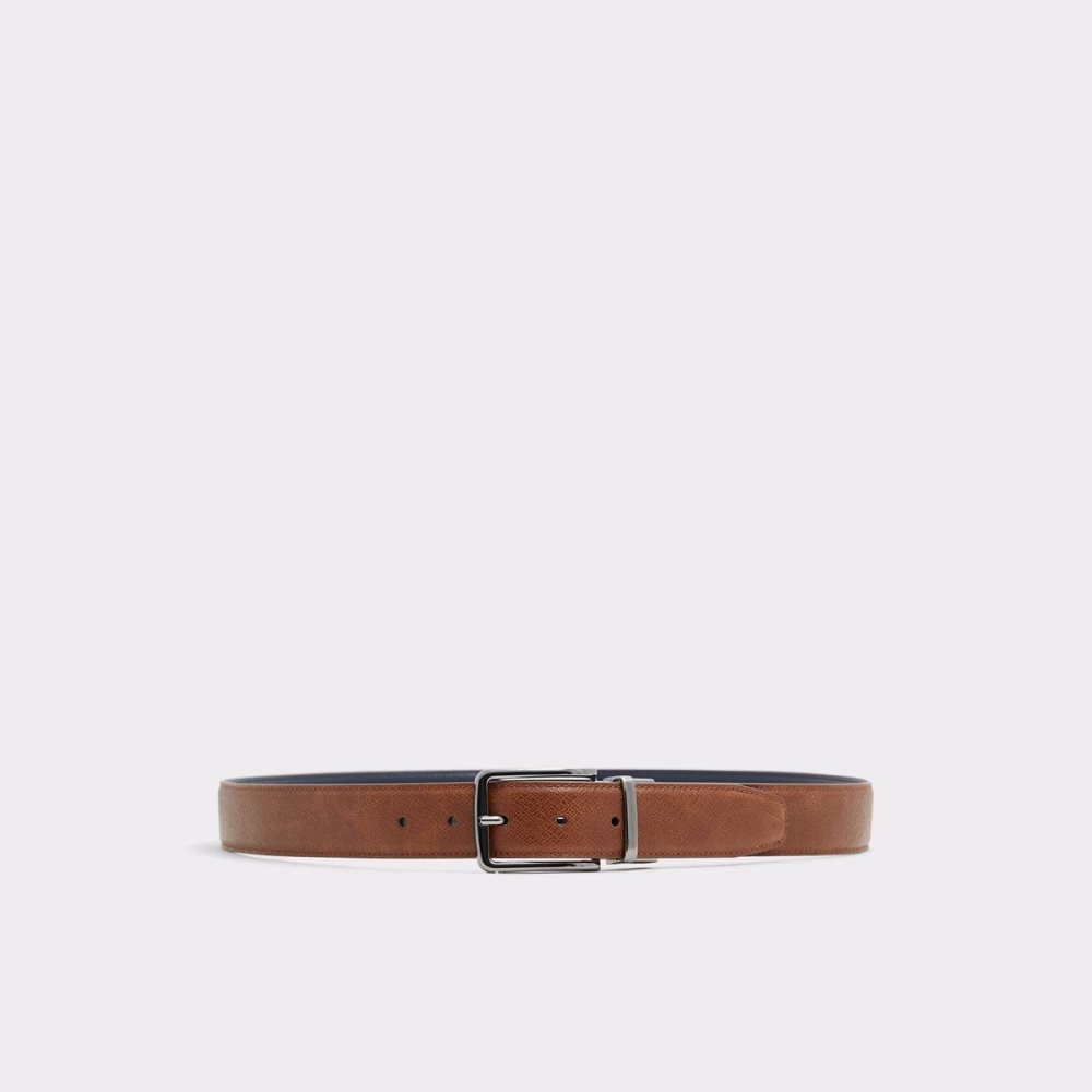 Pánské Pásky Aldo Pilosellus Belt Hnědé | 14397KTSJ