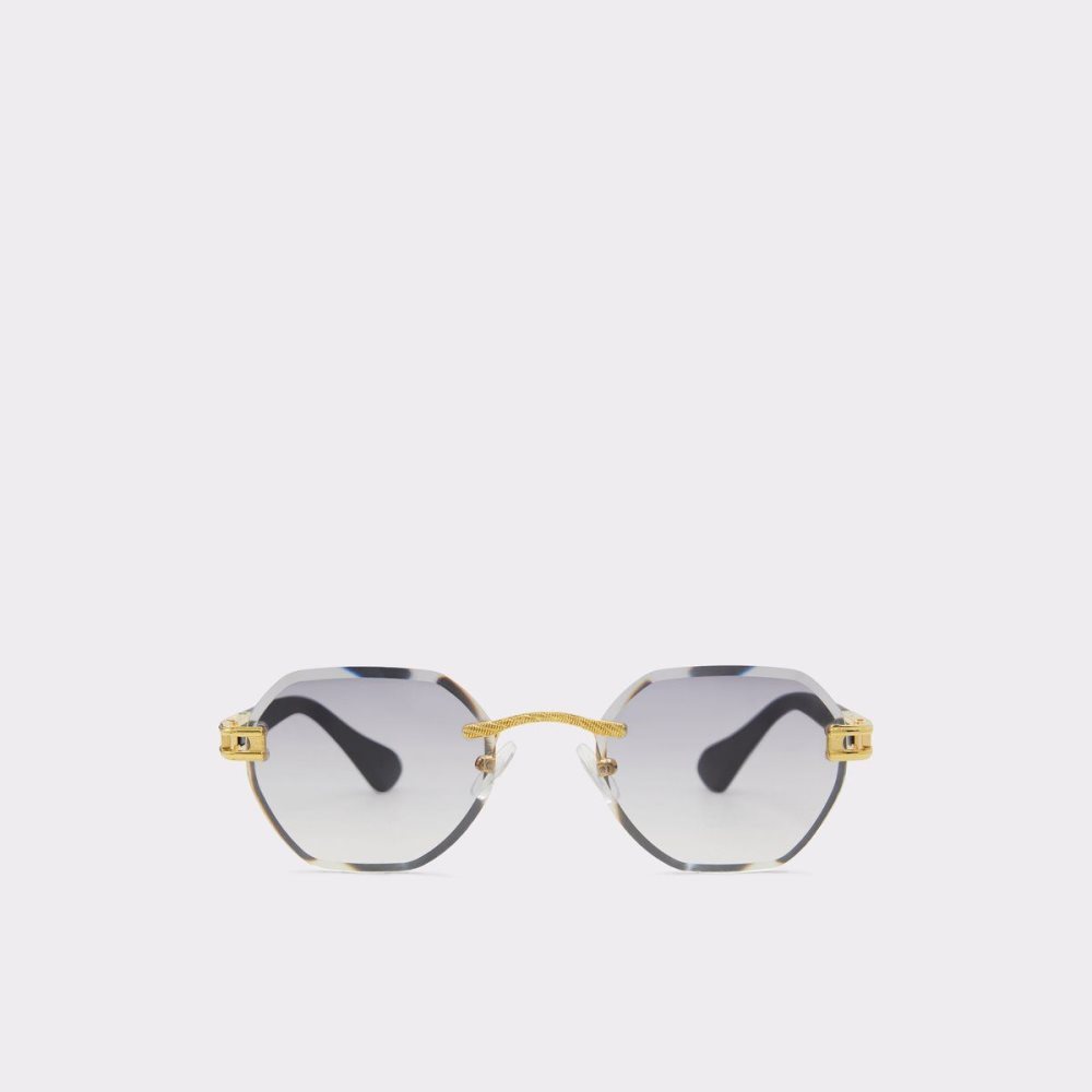 Pánské Sluneční Brýle Aldo Hassaleh Round sunglasses Zlaté | 17943PTNZ