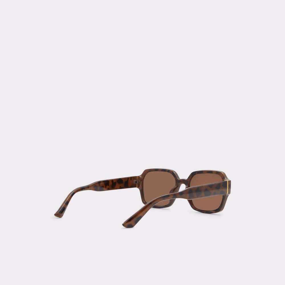 Pánské Sluneční Brýle Aldo Quoll Sunglasses Hnědé | 51894JNDV