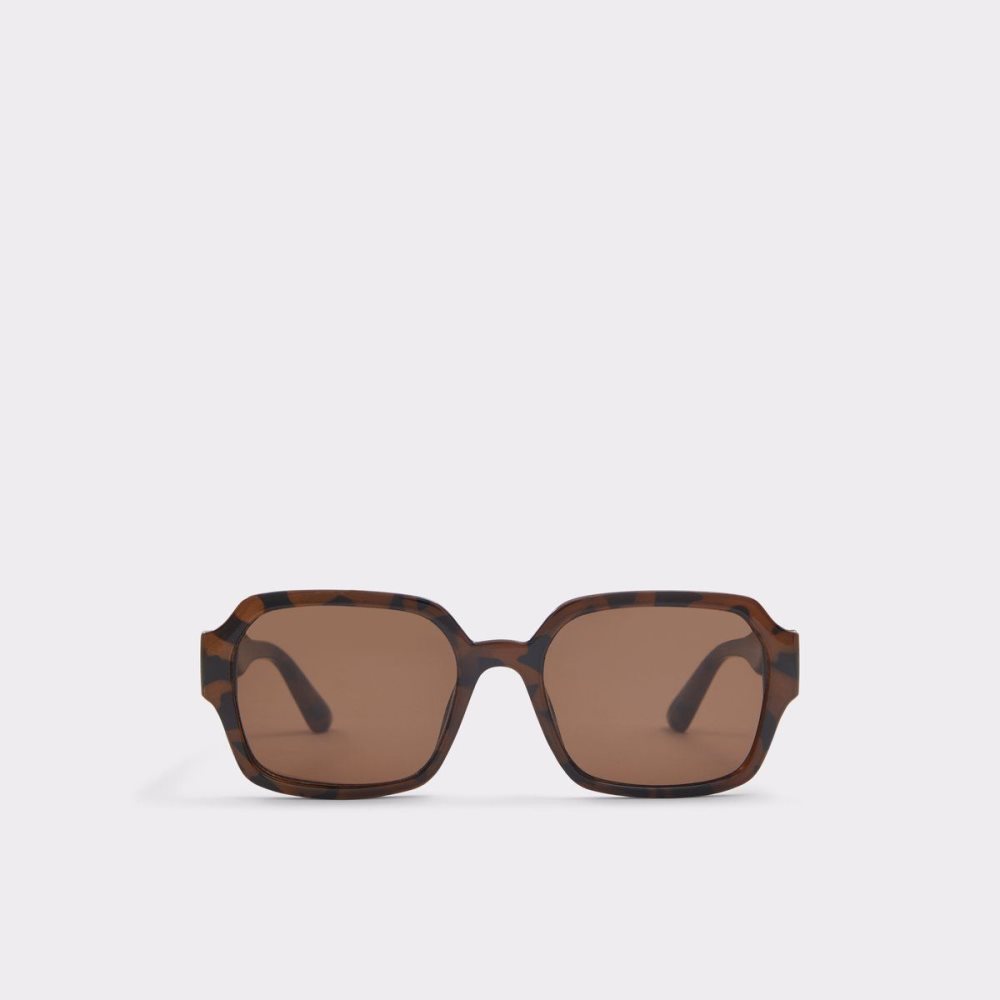 Pánské Sluneční Brýle Aldo Quoll Sunglasses Hnědé | 51894JNDV